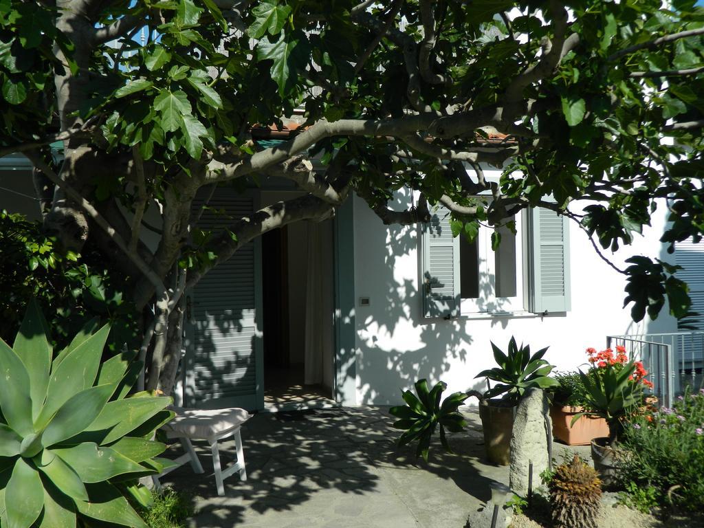 Casa Ischia Apartment Forio di Ischia Стая снимка